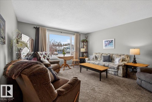 8711 22 Avenue, Edmonton, AB - Indoor Photo Showing Living Room