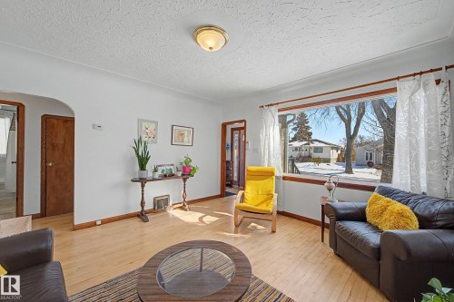 12140 91 Street, Edmonton, AB - Indoor Photo Showing Living Room