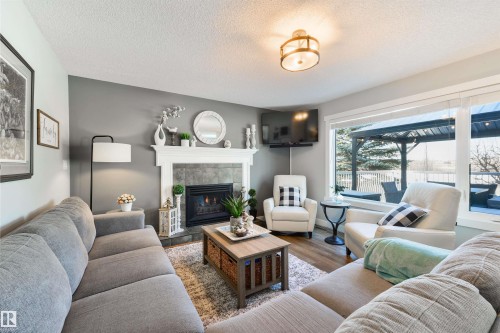 462 Ormsby Road W, Edmonton, AB - Indoor Photo Showing Living Room With Fireplace