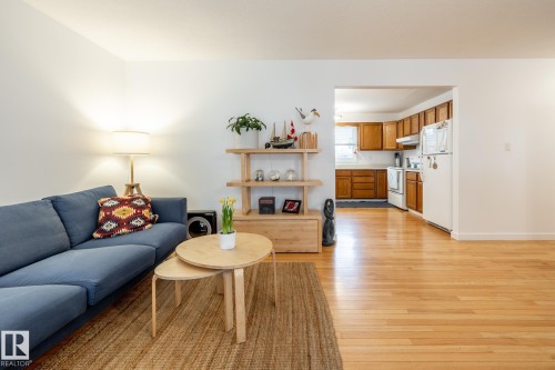 14611 115 Street, Edmonton, AB - Indoor Photo Showing Living Room