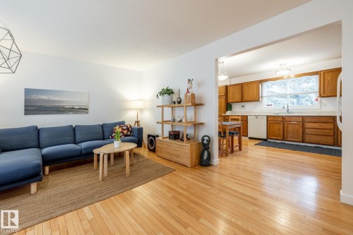 14611 115 Street, Edmonton, AB - Indoor Photo Showing Living Room