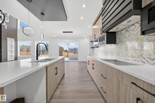 2010 Collip Crescent, Edmonton, AB - Indoor Photo Showing Kitchen With Double Sink With Upgraded Kitchen