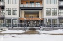 The property features a contemporary exterior with light-colored siding, dark window frames, and grey brick accents - 114 10531 117 Street, Edmonton, AB  - Outdoor With Facade 