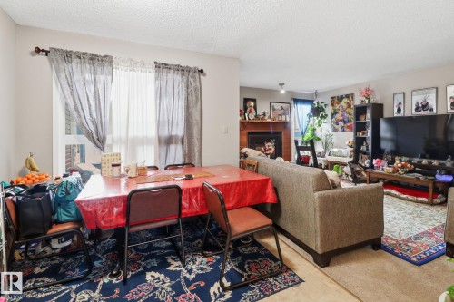 53 1904 48 Street, Edmonton, AB - Indoor Photo Showing Living Room With Fireplace