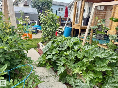The property features an outdoor space with various plantings, including a raised garden bed - 17819 91A Street, Edmonton, AB - Outdoor