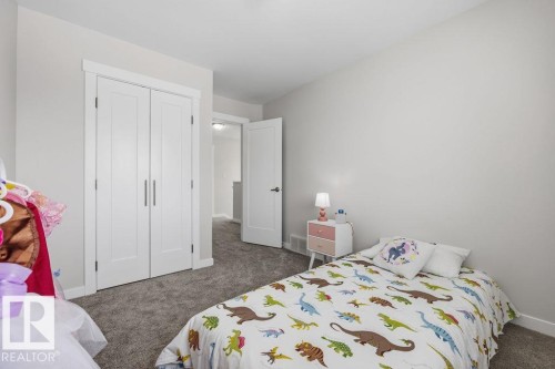 21360 90 Avenue, Edmonton, AB - Indoor Photo Showing Bedroom