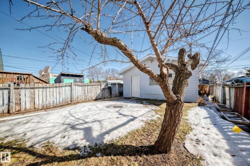 The property includes a detached garage with light blue siding and a white door, set within a yard featuring a mature tree and a wooden fence - 12411 126 Street Nw, Edmonton, AB - Outdoor