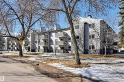 113 10838 108 Street  Edmonton, AB T5H 3A6
