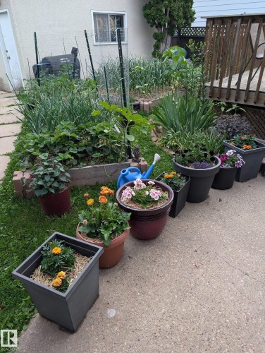 7123 39A Avenue Nw, Edmonton, AB - Outdoor