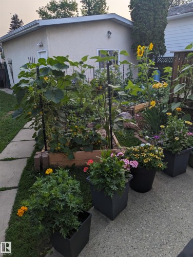 7123 39A Avenue Nw, Edmonton, AB - Outdoor