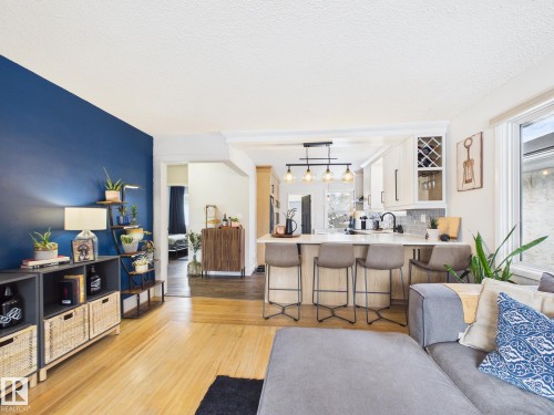 8746 84 Avenue, Edmonton, AB - Indoor Photo Showing Living Room