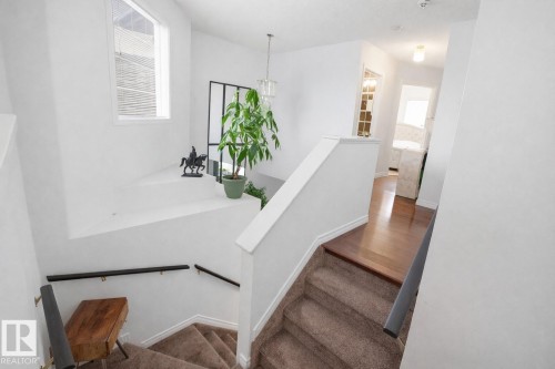 Staircase featuring brown carpeted steps, white railings, and dark handrails - 4619 202 Street, Edmonton, AB - Indoor Photo Showing Other Room