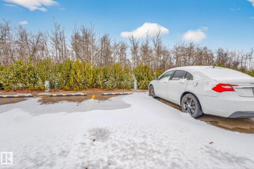 Parking area featuring marked spaces, a snow-covered surface, and surrounding shrubbery with bare trees beyond - 301 1070 Mcconachie Boulevard, Edmonton, AB - Outdoor
