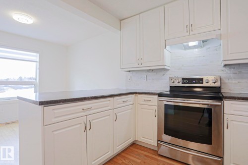 13 9505 176 Street, Edmonton, AB - Indoor Photo Showing Kitchen