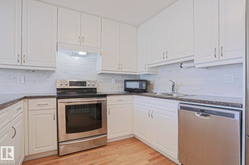 13 9505 176 Street, Edmonton, AB - Indoor Photo Showing Kitchen With Double Sink