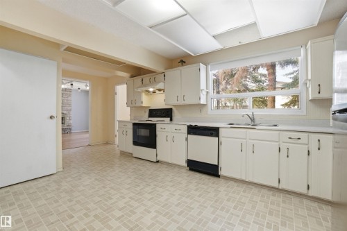 8616 179 Street, Edmonton, AB - Indoor Photo Showing Kitchen With Double Sink