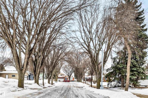 9 Broadview Crescent, St. Albert, AB - Outdoor