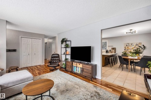 9 Broadview Crescent, St. Albert, AB - Indoor Photo Showing Living Room