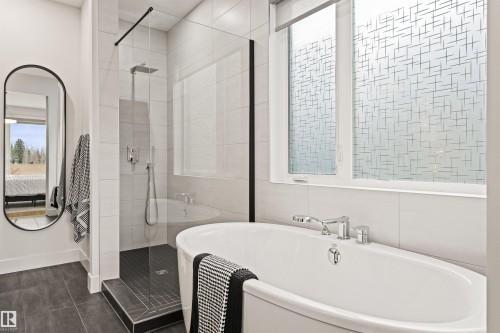 8944 145 Street, Edmonton, AB - Indoor Photo Showing Bathroom