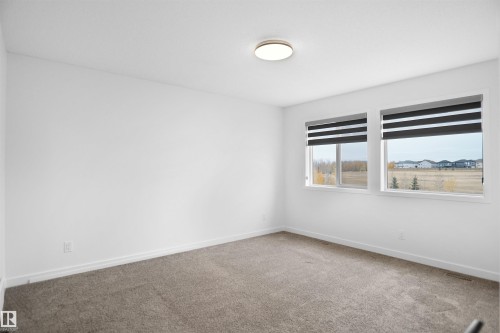 This room features light-colored walls, carpeted flooring, and two windows with blinds - Edmonton, AB - Indoor Photo Showing Other Room