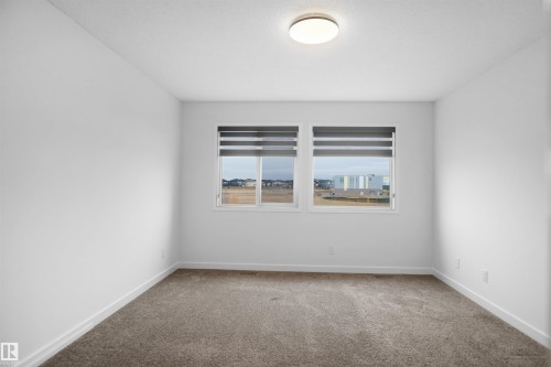 This room features two windows with blinds, a ceiling light fixture, and carpeted flooring - Edmonton, AB - Indoor Photo Showing Other Room
