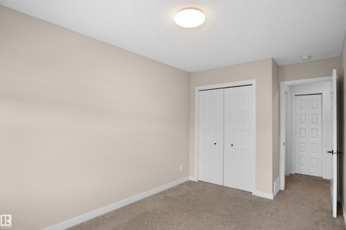 The room features neutral-toned walls, a textured carpet, and a ceiling-mounted light fixture - Edmonton, AB - Indoor Photo Showing Other Room