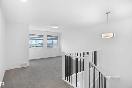 Bright, open area featuring neutral carpeting, two windows with blinds, and white walls - Edmonton, AB - Indoor Photo Showing Other Room