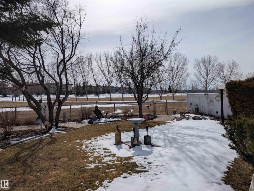 The property features an outdoor area with natural grass, mature trees, and a paved pathway - 65 Coloniale Way, Beaumont, AB - Outdoor With View