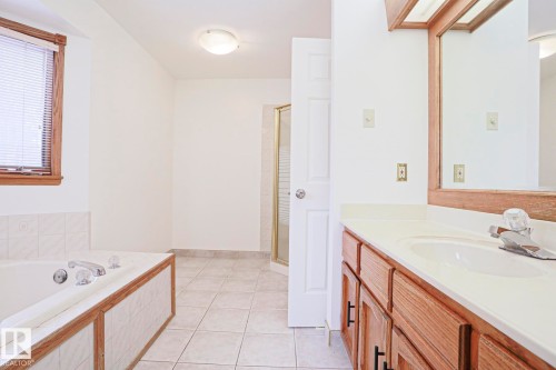 507 Burton Close, Edmonton, AB - Indoor Photo Showing Bathroom