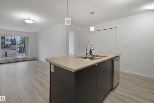 114 3357 16A Avenue, Edmonton, AB - Indoor Photo Showing Kitchen With Double Sink