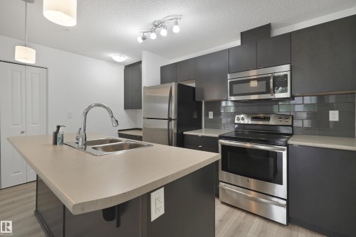 114 3357 16A Avenue, Edmonton, AB - Indoor Photo Showing Kitchen With Double Sink With Upgraded Kitchen