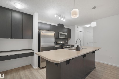 114 3357 16A Avenue, Edmonton, AB - Indoor Photo Showing Kitchen With Double Sink With Upgraded Kitchen