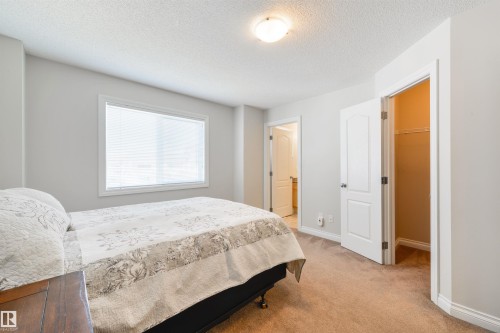 This room features light grey walls and light brown carpet flooring - 67 12050 17 Avenue, Edmonton, AB - Indoor Photo Showing Bedroom