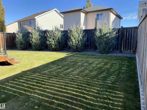 The property features a spacious lawn, a wooden fence, and mature evergreen shrubs - 13 Spring Link, Spruce Grove, AB - Outdoor