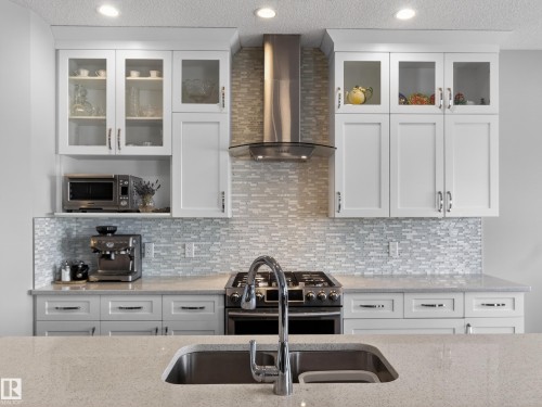 1047 Coopers Hawk Link Link, Edmonton, AB - Indoor Photo Showing Kitchen With Double Sink With Upgraded Kitchen