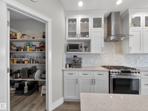 1047 Coopers Hawk Link Link, Edmonton, AB - Indoor Photo Showing Kitchen With Upgraded Kitchen