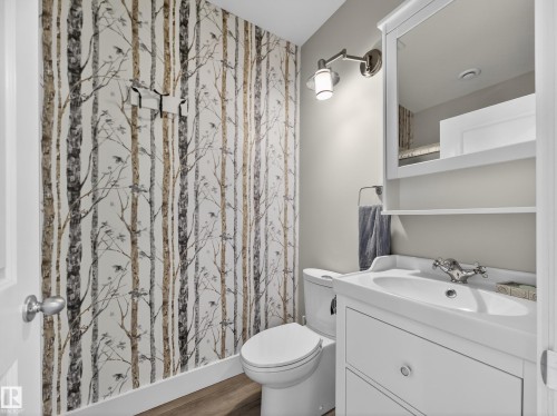 1047 Coopers Hawk Link Link, Edmonton, AB - Indoor Photo Showing Bathroom