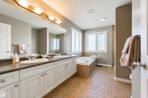 195 Darlington Crescent, Edmonton, AB - Indoor Photo Showing Bathroom