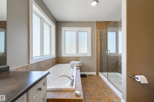 195 Darlington Crescent, Edmonton, AB - Indoor Photo Showing Bathroom