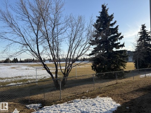 View of the expansive grounds featuring mature trees and a chain-link fence - 124 Cornell Court, Edmonton, AB - Outdoor With View