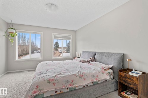 The property features a bedroom with neutral-colored walls, light-colored carpet, and two large windows - 5164 Lark Crescent Nw, Edmonton, AB - Indoor Photo Showing Bedroom