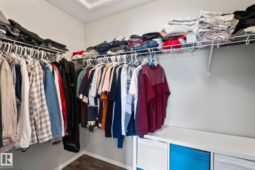 The property features a walk-in closet with ample storage, including wire shelving and a built-in storage unit with blue and white bins - 5164 Lark Crescent Nw, Edmonton, AB - Indoor With Storage