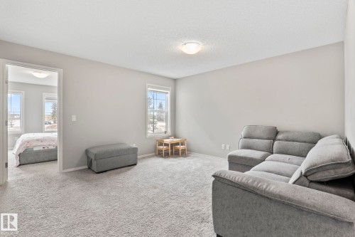 This property features light gray walls and plush gray carpet throughout - 5164 Lark Crescent Nw, Edmonton, AB - Indoor Photo Showing Other Room