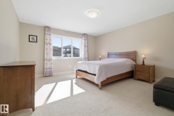 This spacious room features neutral-toned walls, light-colored carpeting, and a large window providing natural light - 