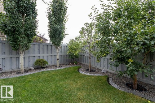 10617 174A Avenue, Edmonton, AB - Outdoor