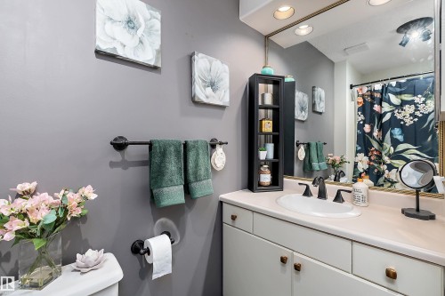 528 Carse Lane, Edmonton, AB - Indoor Photo Showing Bathroom