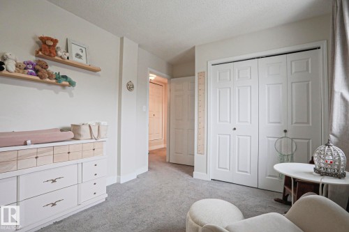 This room features neutral-toned carpeting, white walls, and a bi-fold closet with panel detailing - 9319 92 Street, Edmonton, AB - Indoor Photo Showing Other Room