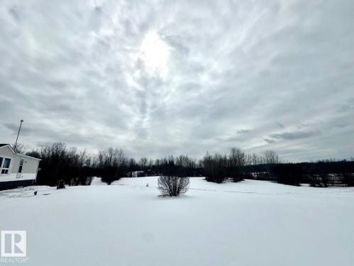 Expansive yard area with a single bush and distant trees, offering a sense of openness - 50124 Range Road 203, Rural Beaver County, AB - Outdoor With View