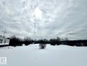 Expansive yard area with a single bush and distant trees, offering a sense of openness - 50124 Range Road 203, Rural Beaver County, AB  - Outdoor With View 