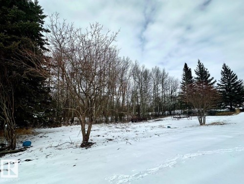 The property features an expansive outdoor area with a snow-covered ground, mature evergreen trees, and leafless deciduous trees - 50124 Range Road 203, Rural Beaver County, AB - Outdoor With View